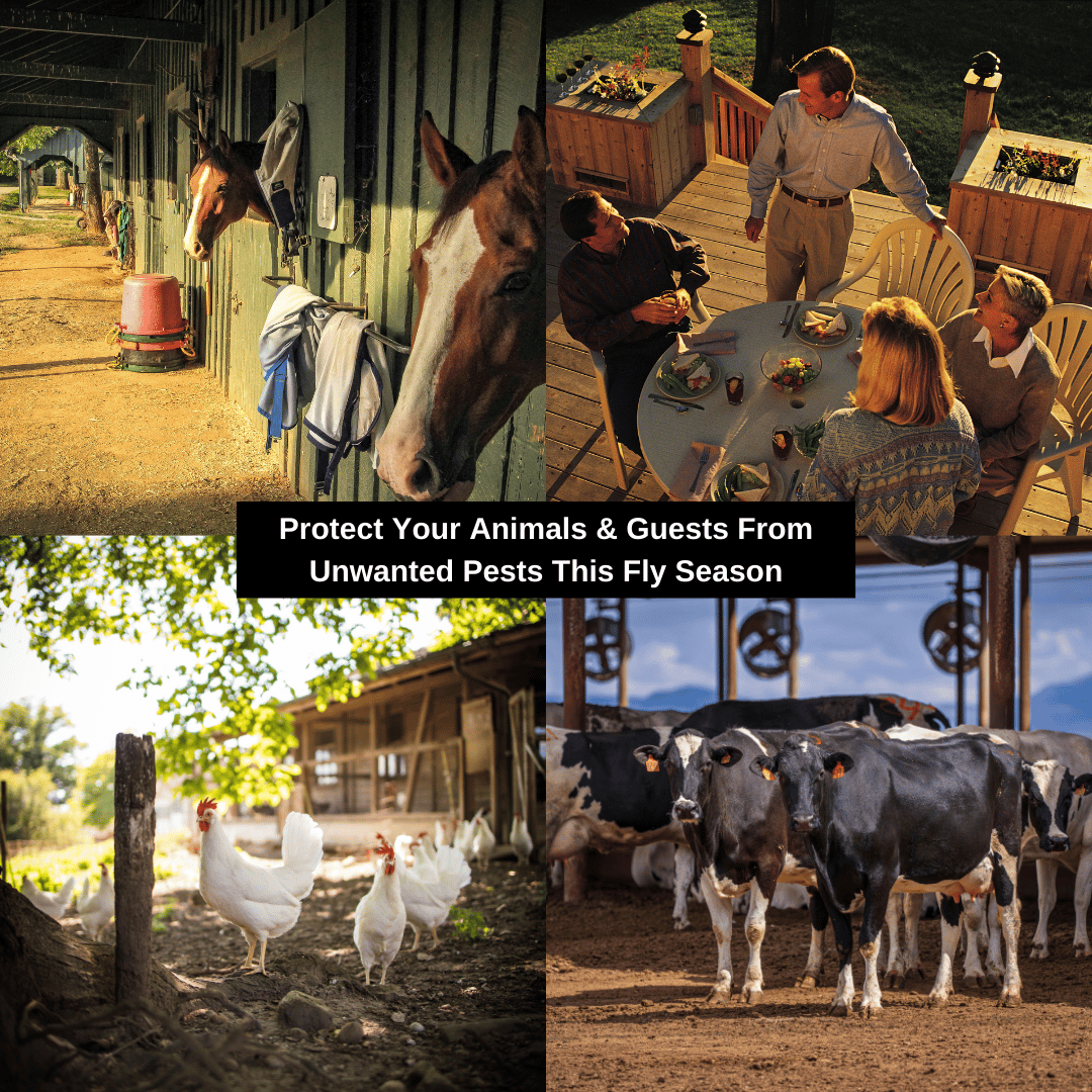 đĽLast Day 49% OFFâ¨The Fly Hunter - Giant Hanging Bag Trap - Effortless Fly Control