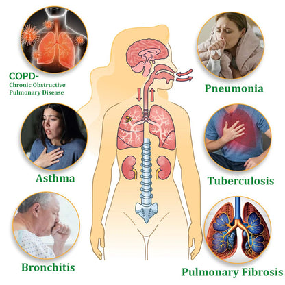 ✨ New upgraded version of Mullein Herbal Lung Purifier – 🔥 70% off today only!