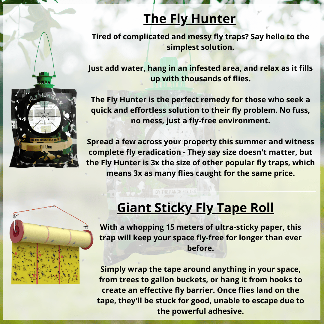 🔥Last Day 49% OFF✨The Fly Hunter - Giant Hanging Bag Trap - Effortless Fly Control